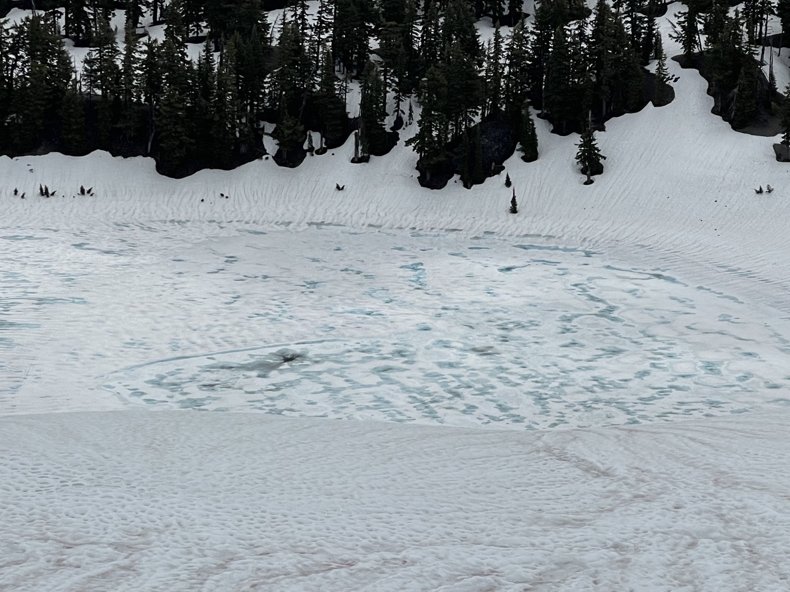 Ice covering the surface of Moraine Lake in June