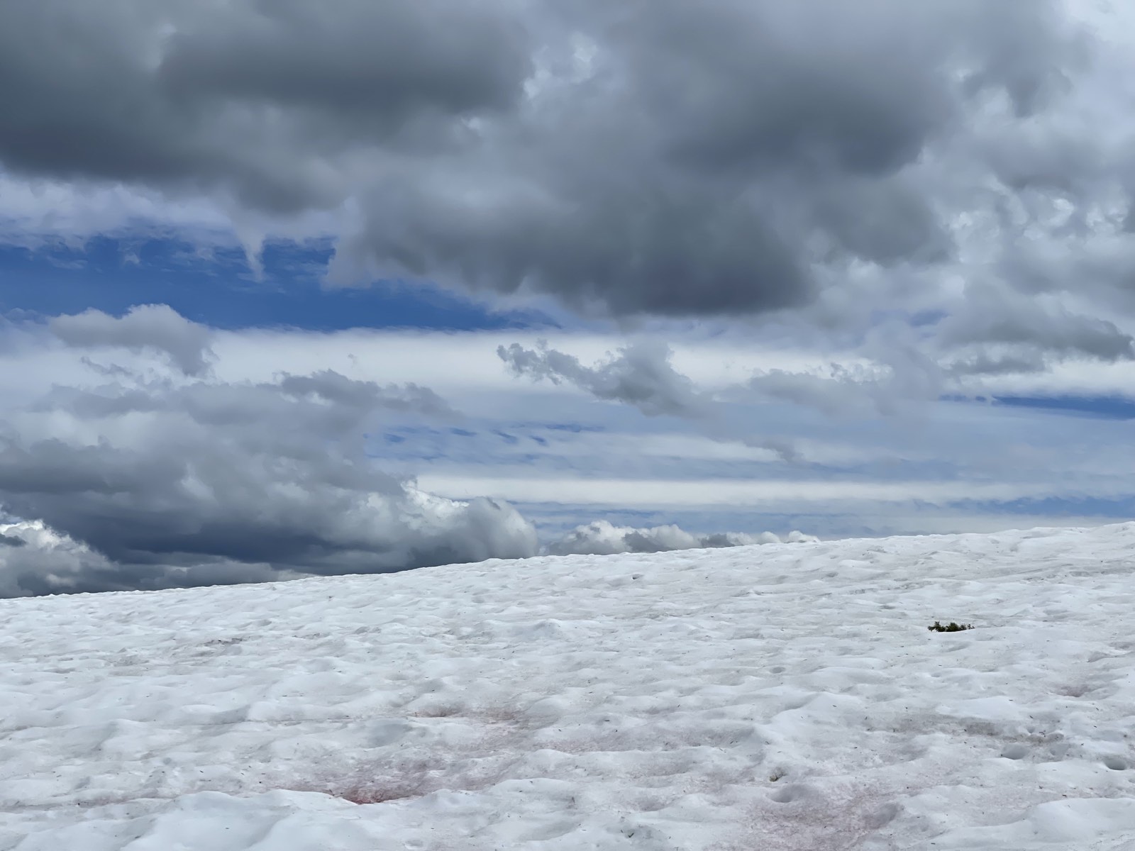 Clouds drifting past at eye level high on the mountain