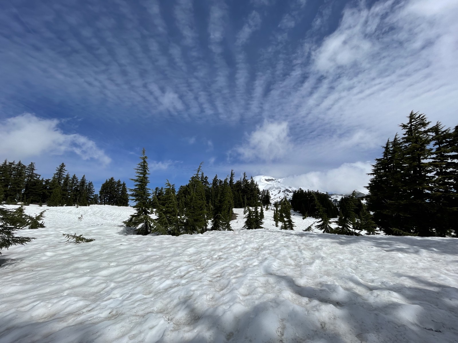 South Sister coming into sight above the tree line