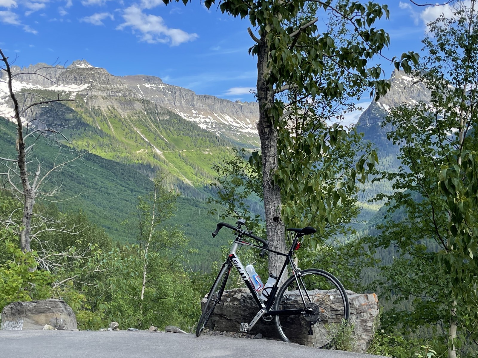 A road bike leaning at the roadside