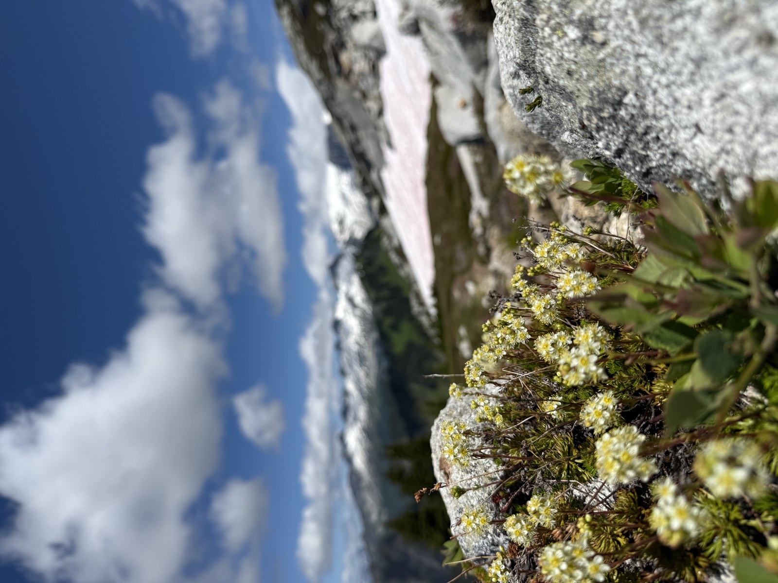 High meadow and rock along the upper trail