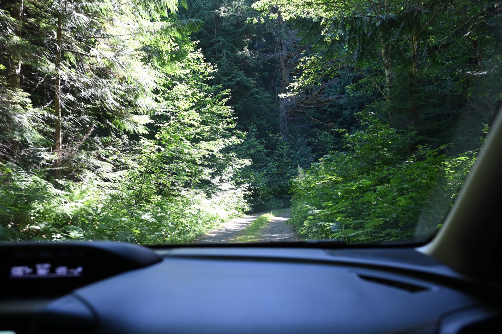 A narrow dirt access road cut with ruts and eroded gullies