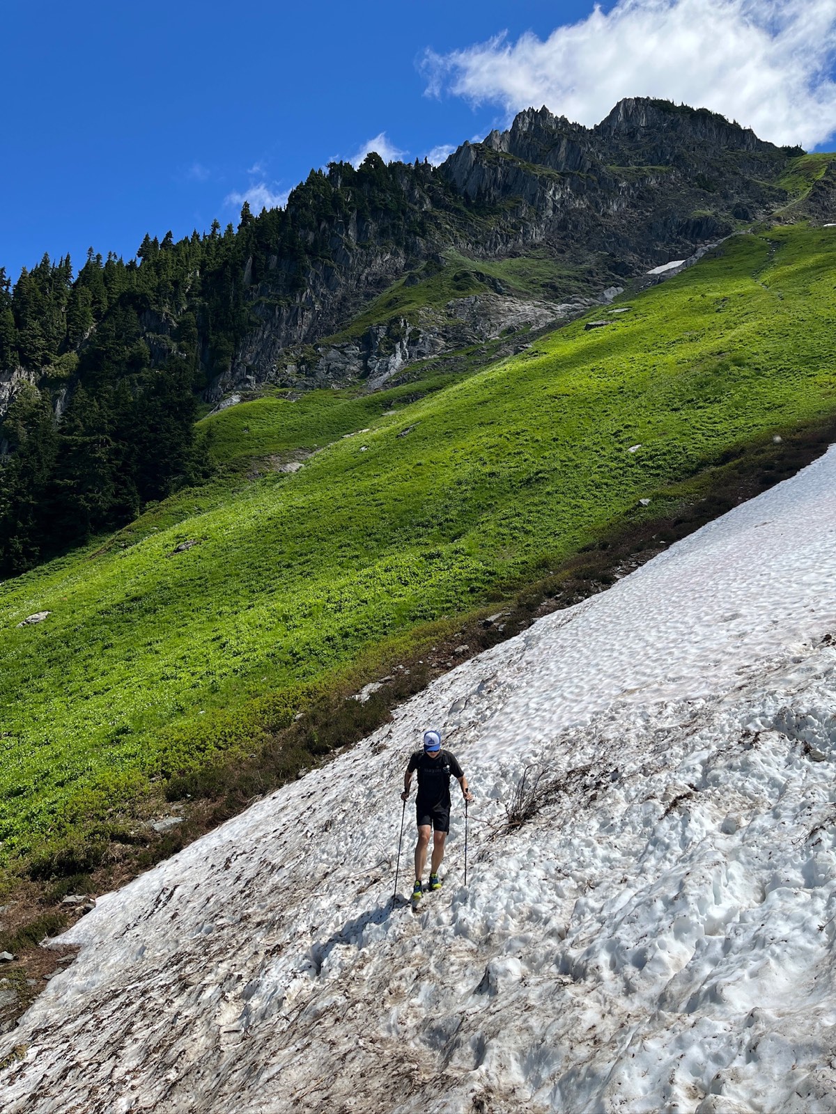 Row after row of Cascade summits receding toward the horizon