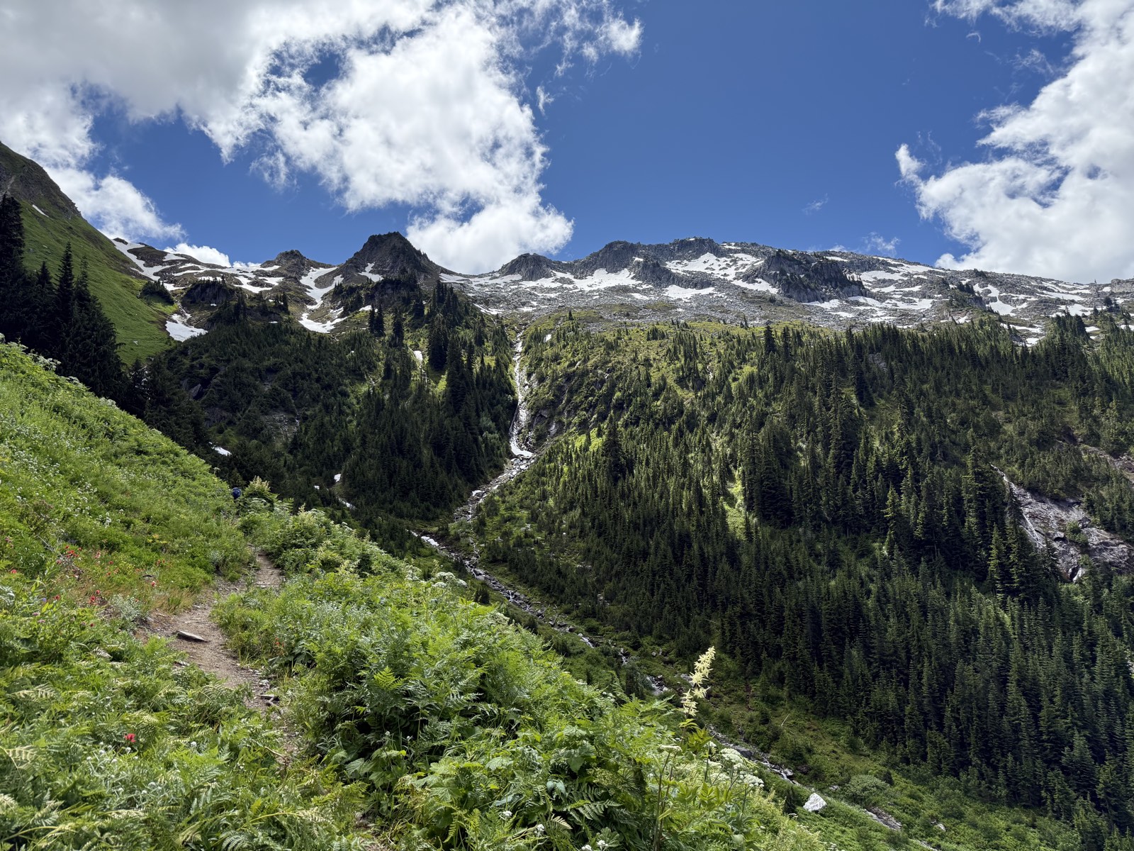 Dense green vegetation covering the lower hillsides