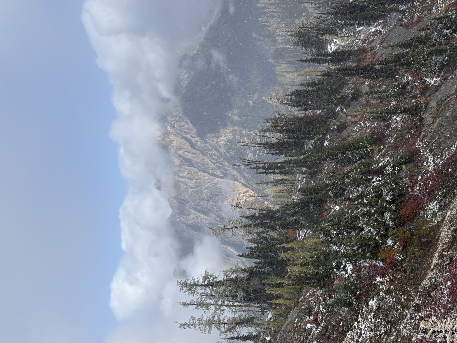 Clouds lifting off a rocky peak above a slope of firs and yellowing larches
