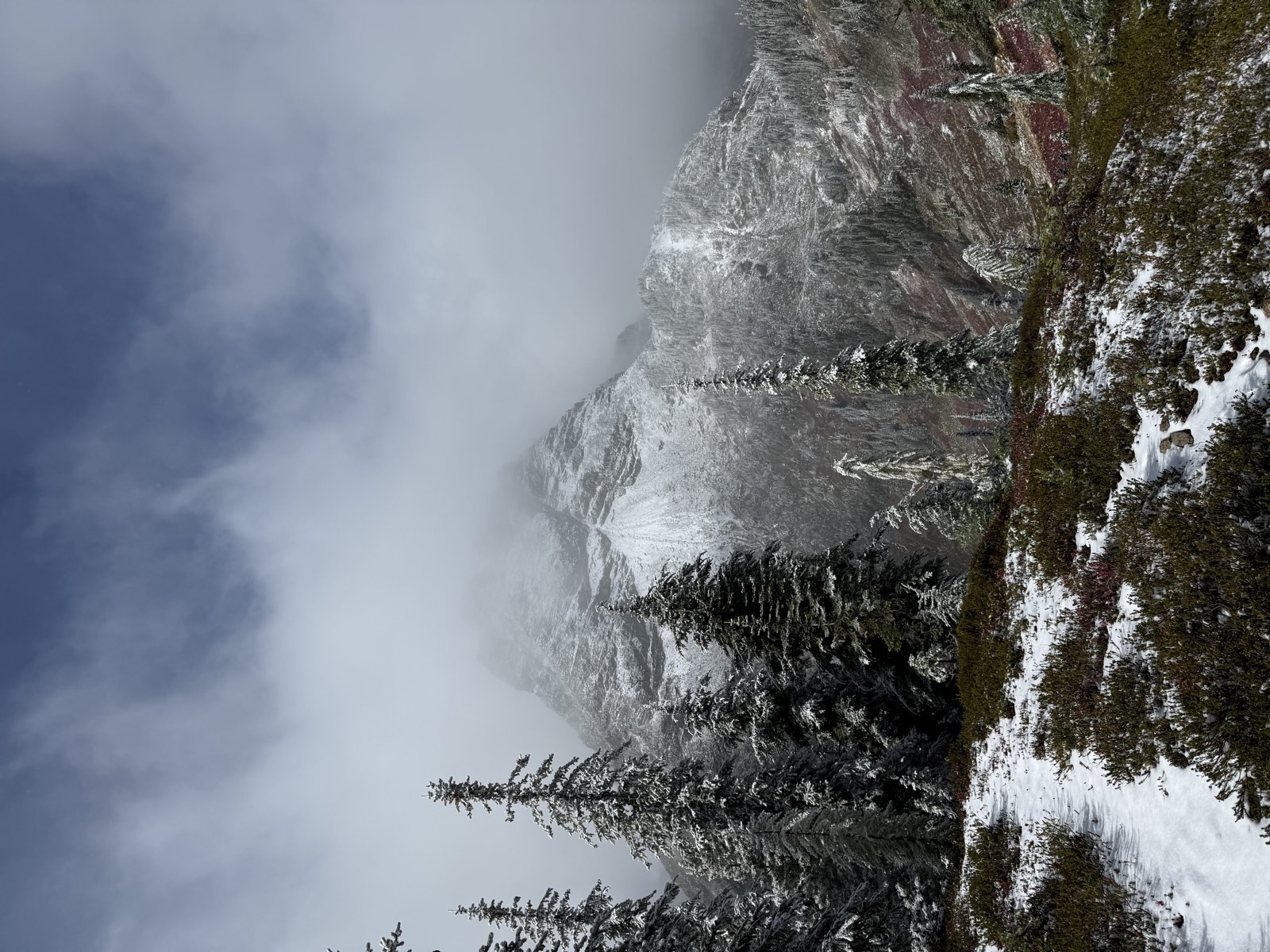 A snow-covered trail through firs toward a peak half hidden in cloud