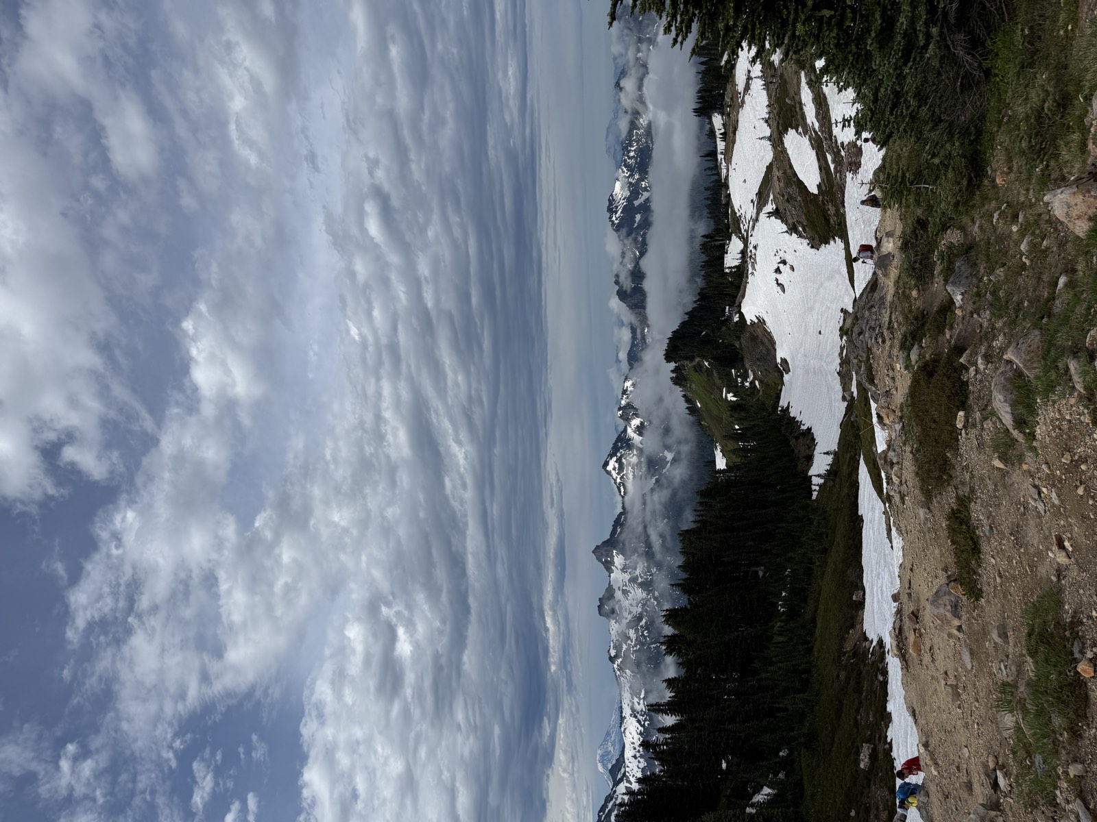 The Skyline Trail climbing toward higher ground