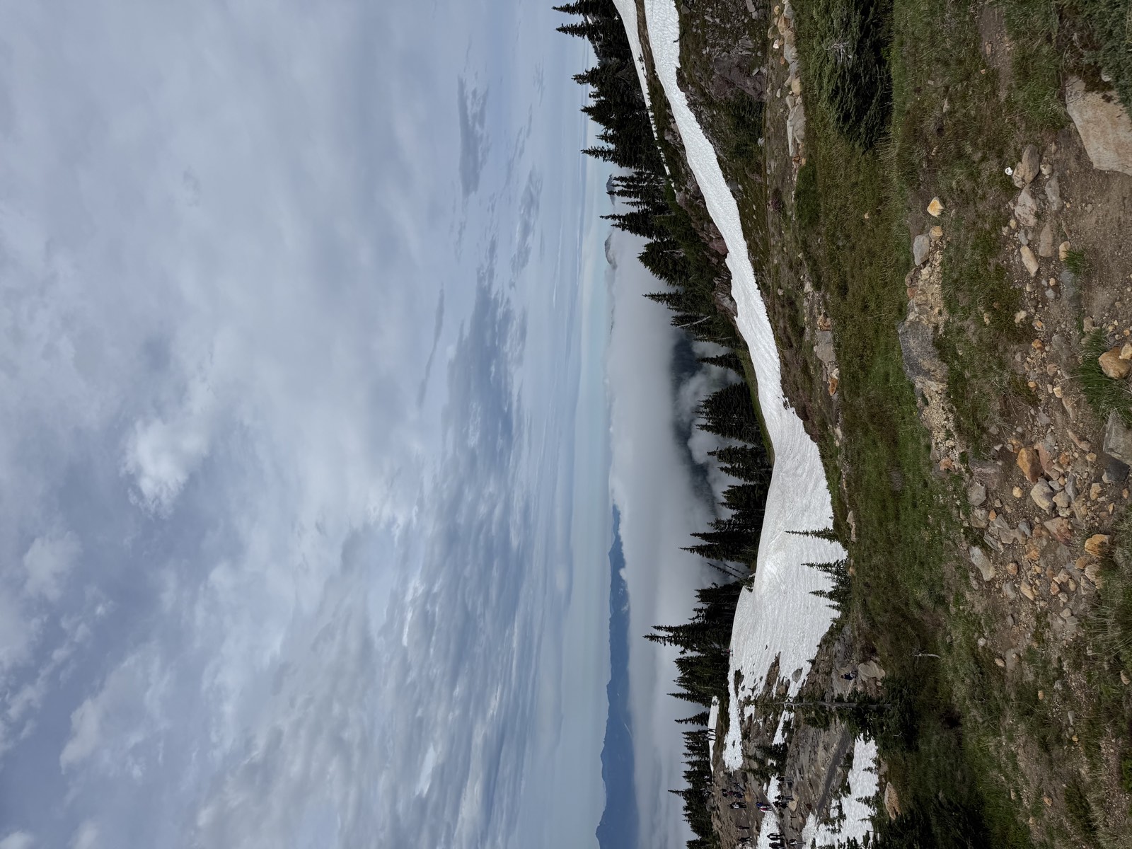 Low cloud settling over high meadows on the mountain
