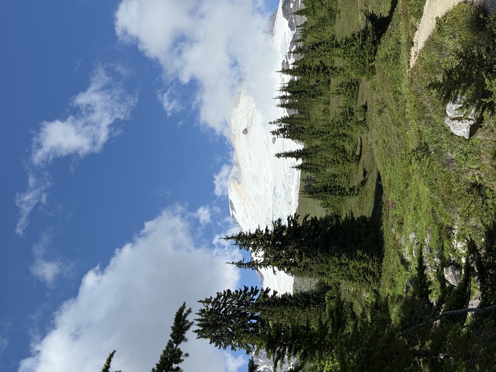 A dirt trail crossing a meadow of scattered conifers below the snow-covered slopes of Mount Baker