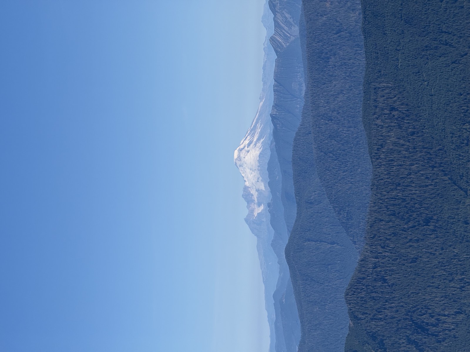 The snow-covered summit of Mount Baker above forested foothills