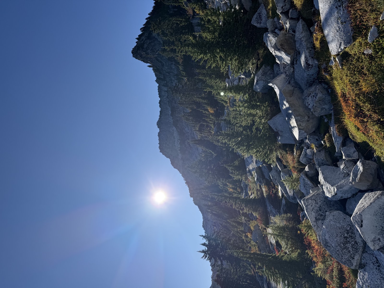 Granite boulders and red huckleberry below a forested ridge, with the morning sun above
