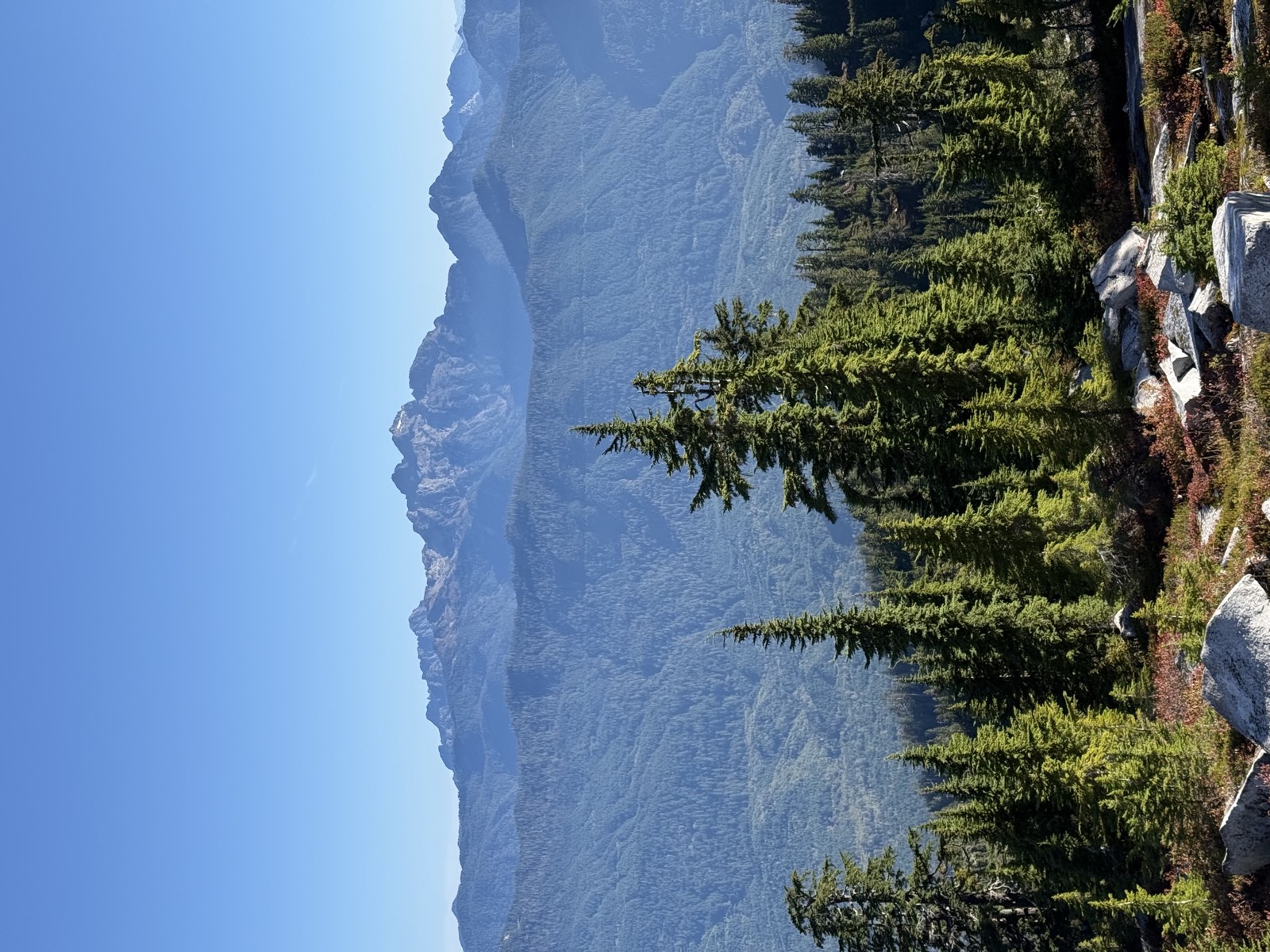 A jagged mountain massif beyond forested ridges, framed by evergreens