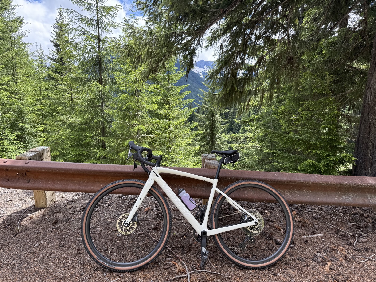 A bike on the road among dense evergreens at lower elevation