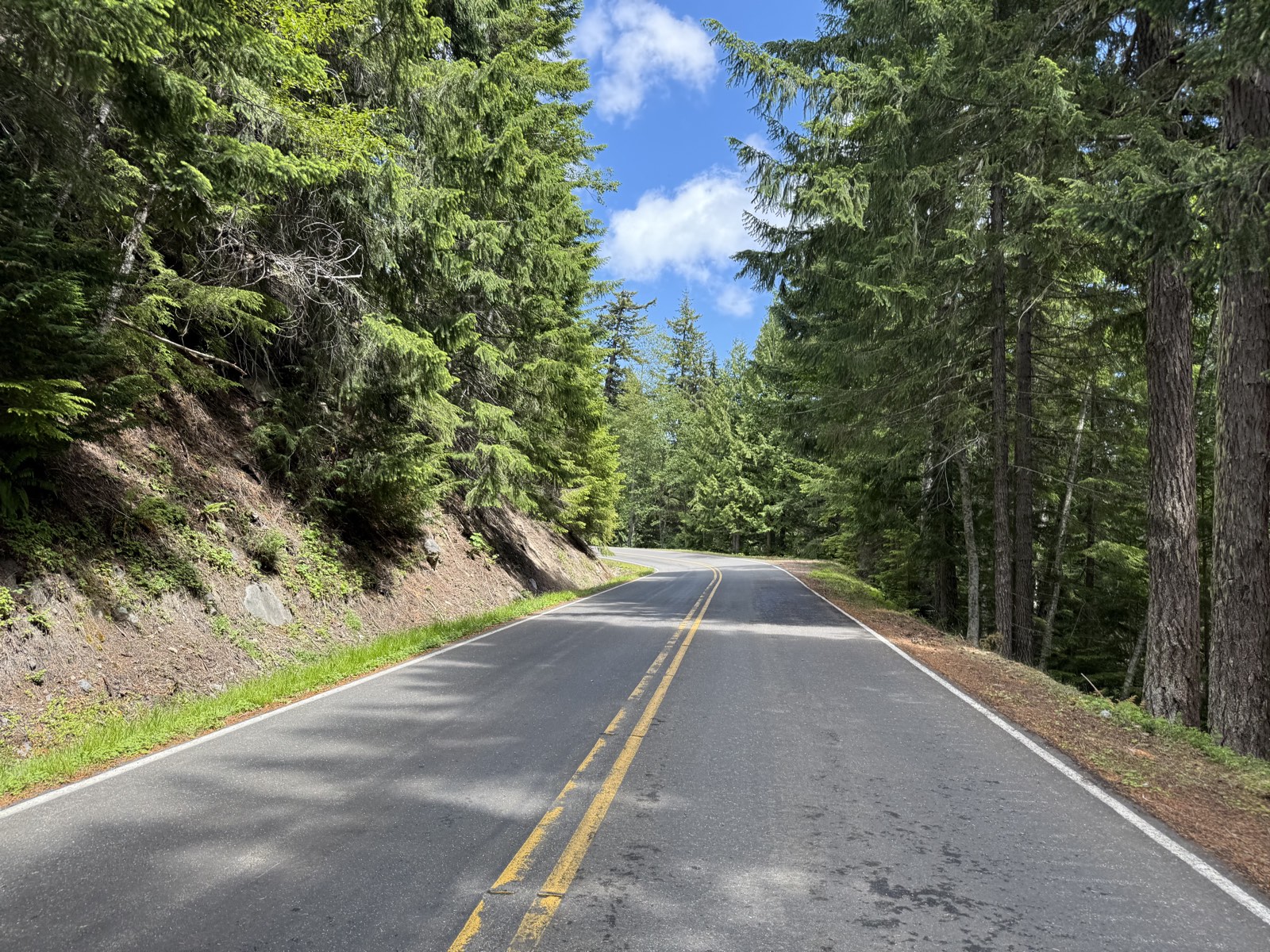 An empty park road with no cars on it