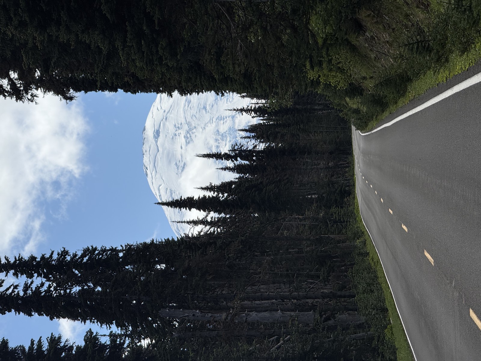 The road climbing as the trees thin and the horizon widens
