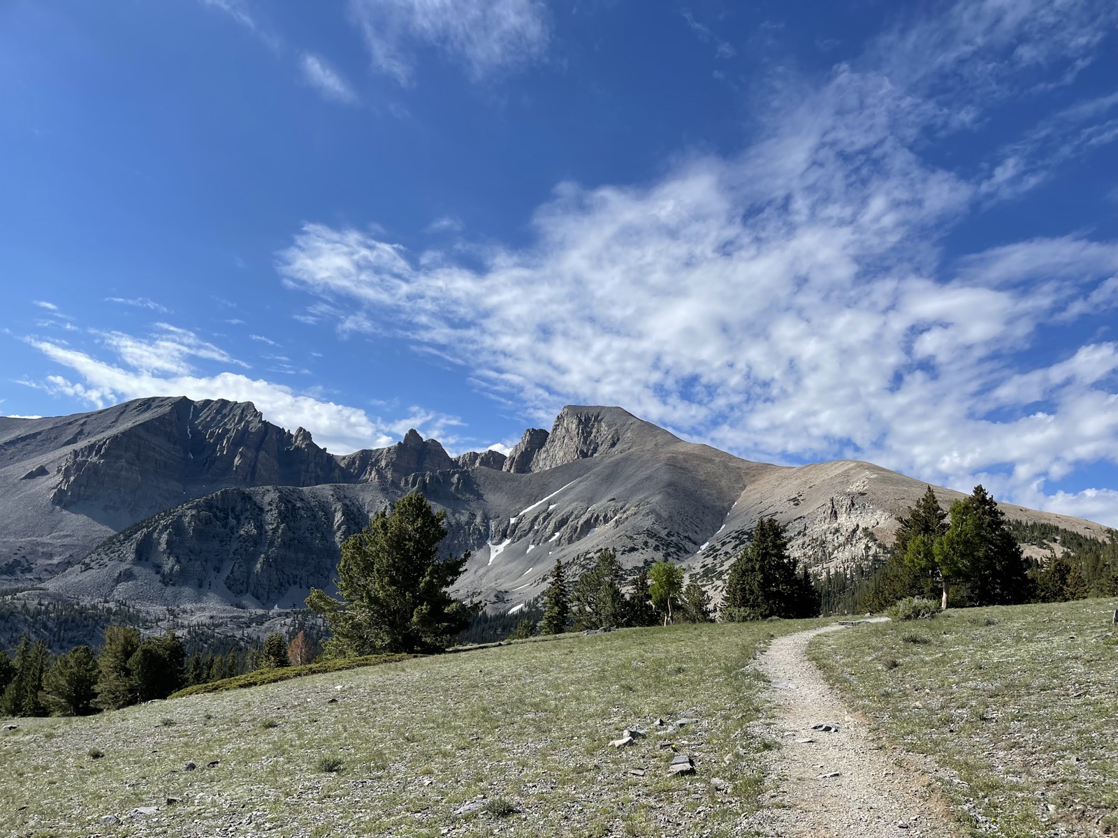 Open ground above the last trees with the peak ahead