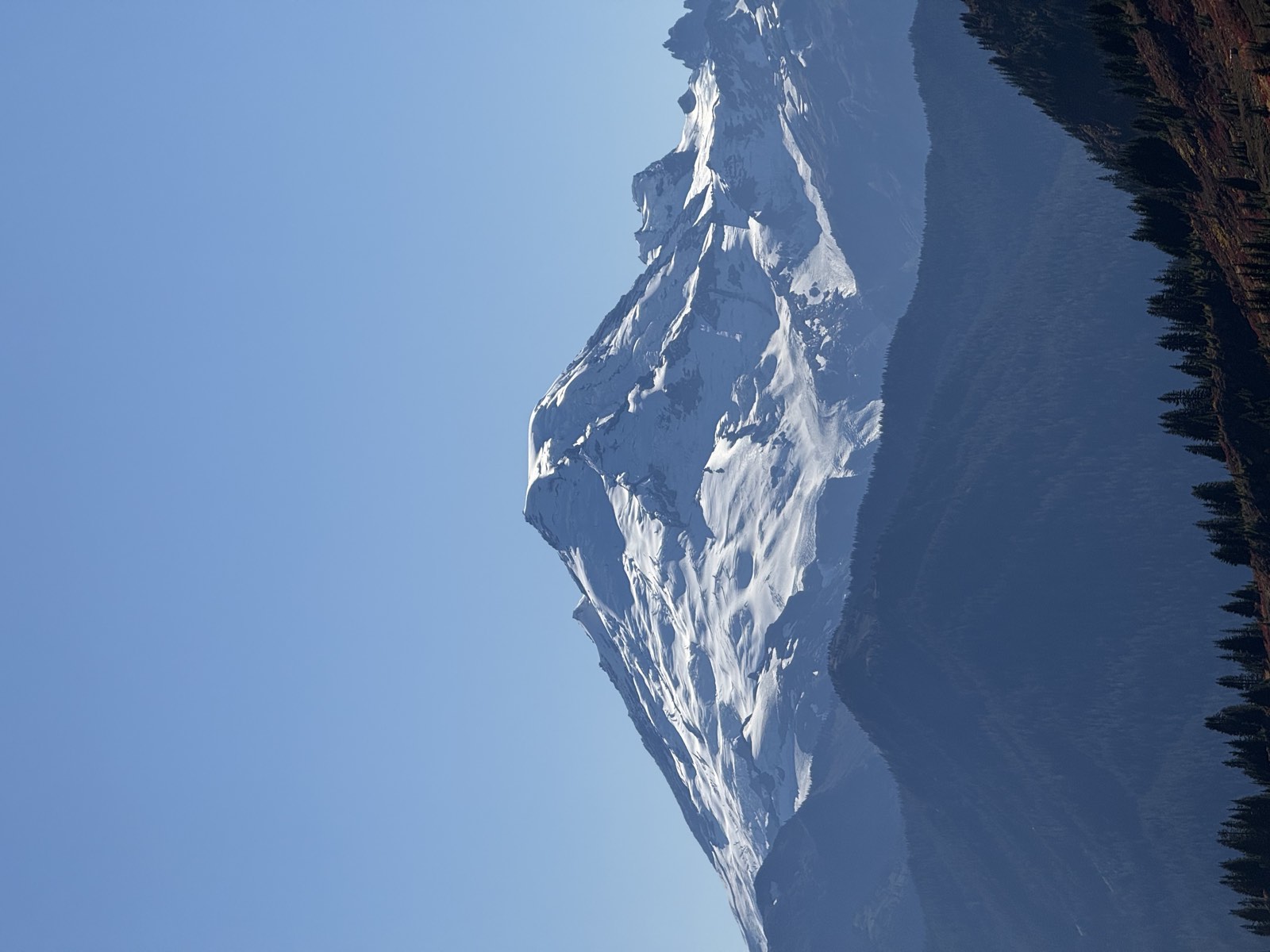 A close view of the glaciers on Mount Baker above dark forested ridges
