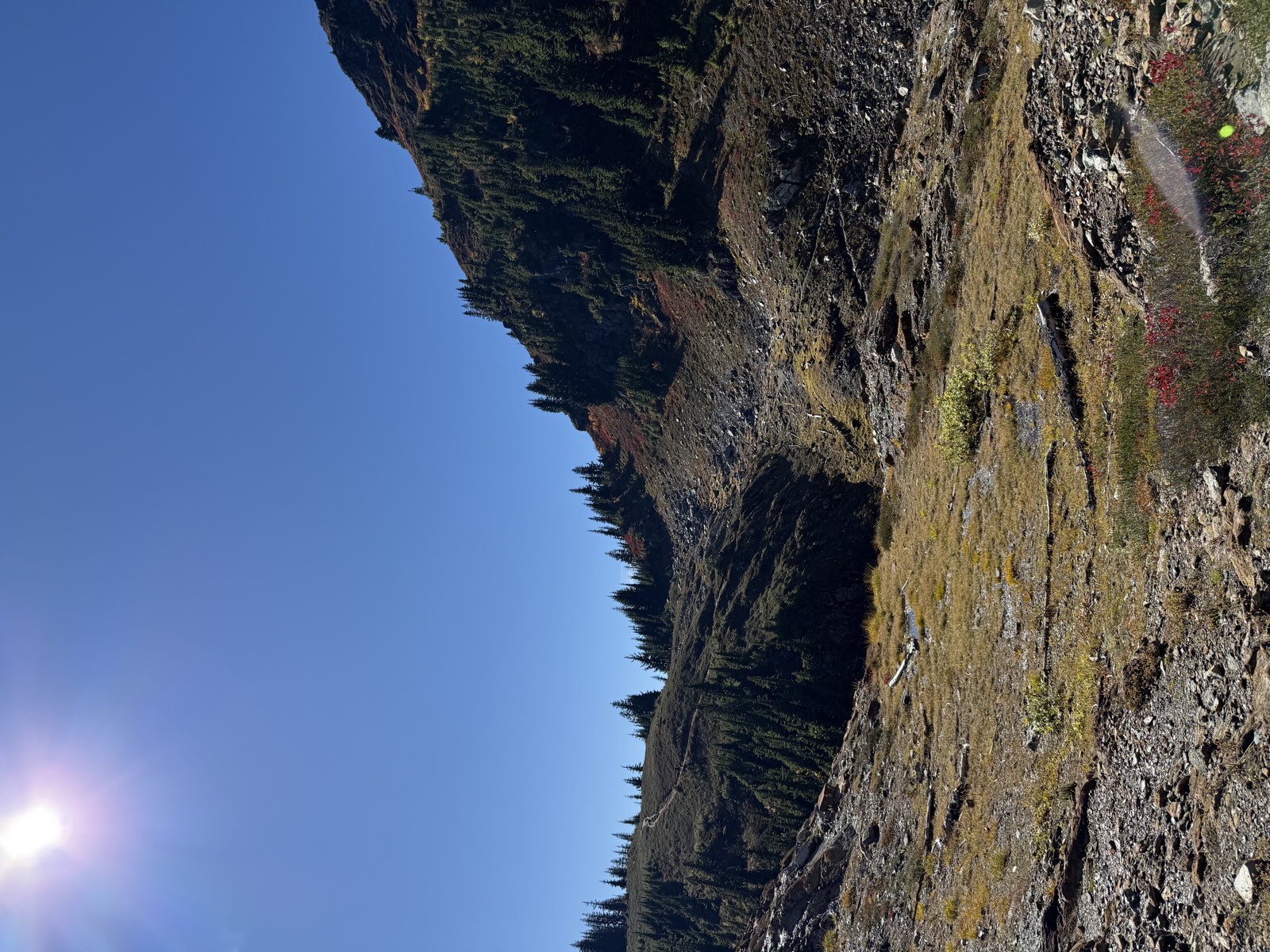 A rocky, grassy basin below a steep forested slope under a bright sun