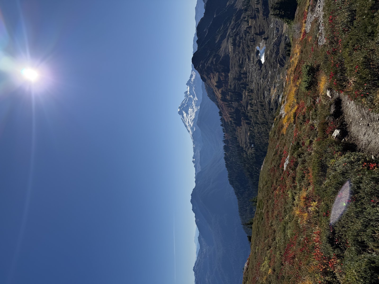A trail through red and yellow meadows heading toward Mount Baker