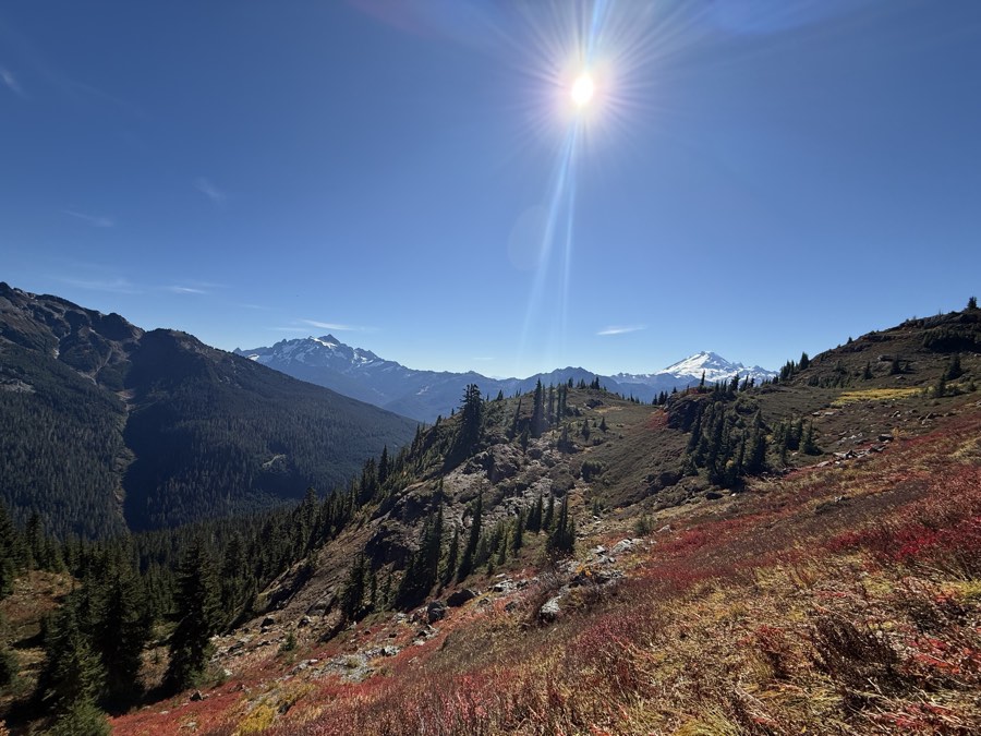 Mount Shuksan and Mount Baker above a hillside of red huckleberry on the Yellow Aster Butte trail