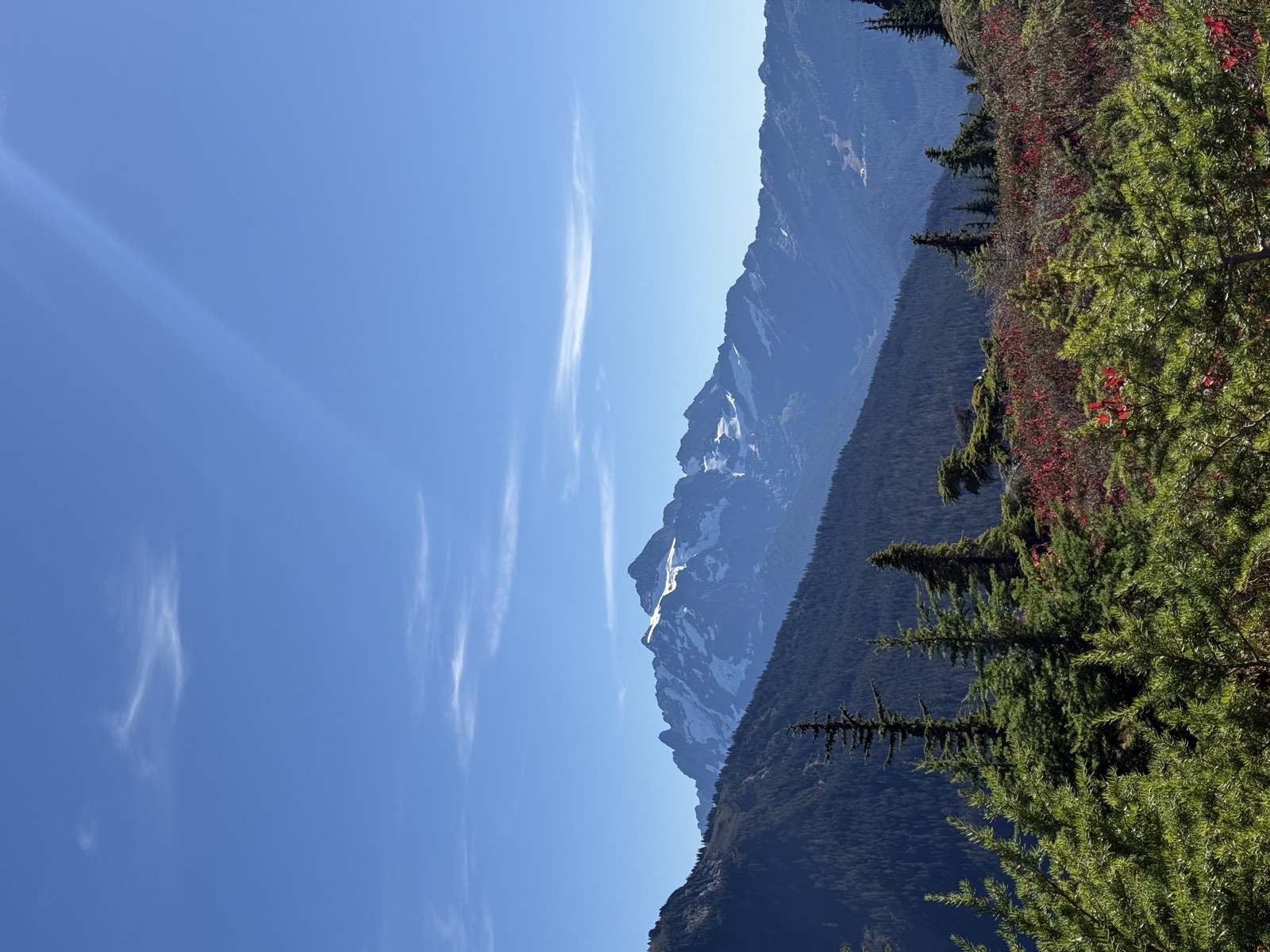 The glaciated summit pyramid of Mount Shuksan beyond a forested valley