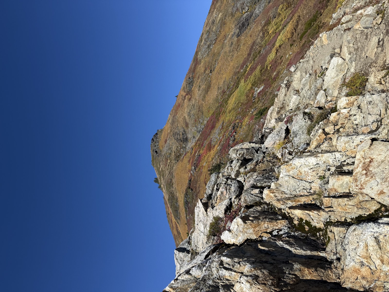 Pale rock outcrops along a steep ridge climbing toward the top of the butte