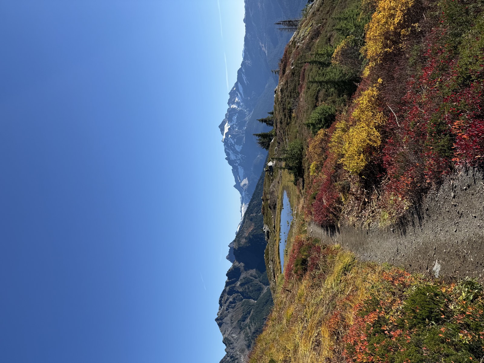 A dirt trail through red and yellow meadows past a small tarn, with Mount Shuksan behind