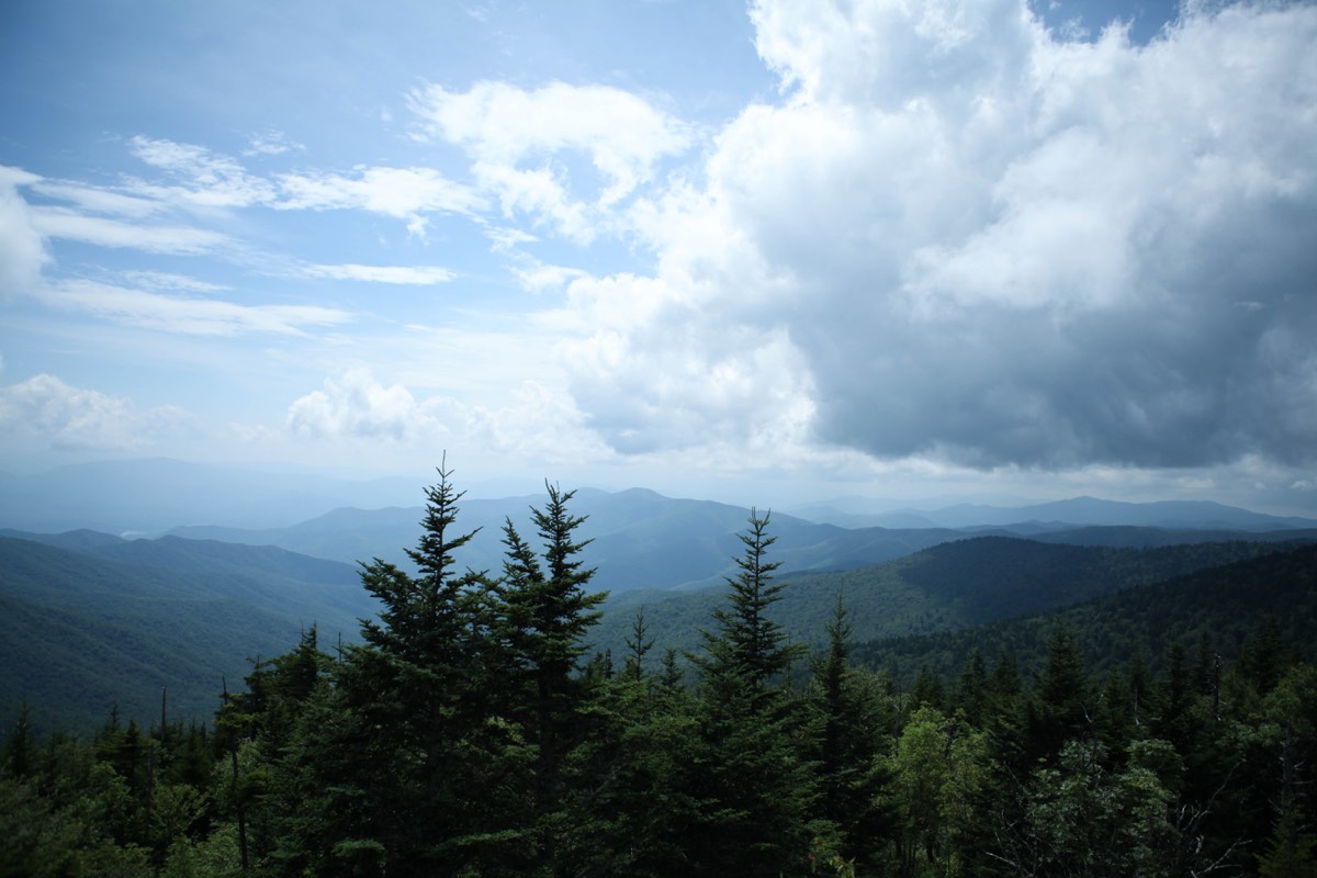 Photograph from Great Smokey Mtn NP, TN
