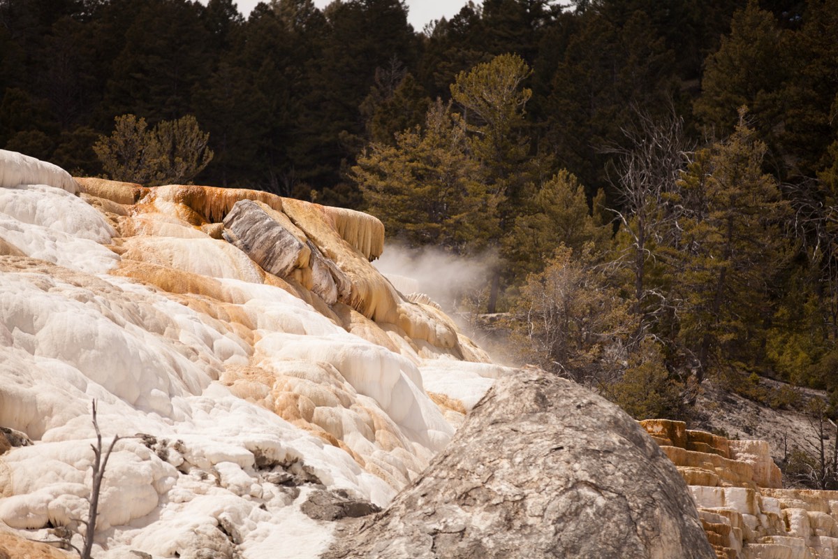 Photograph from Yellow Stone NP, WY