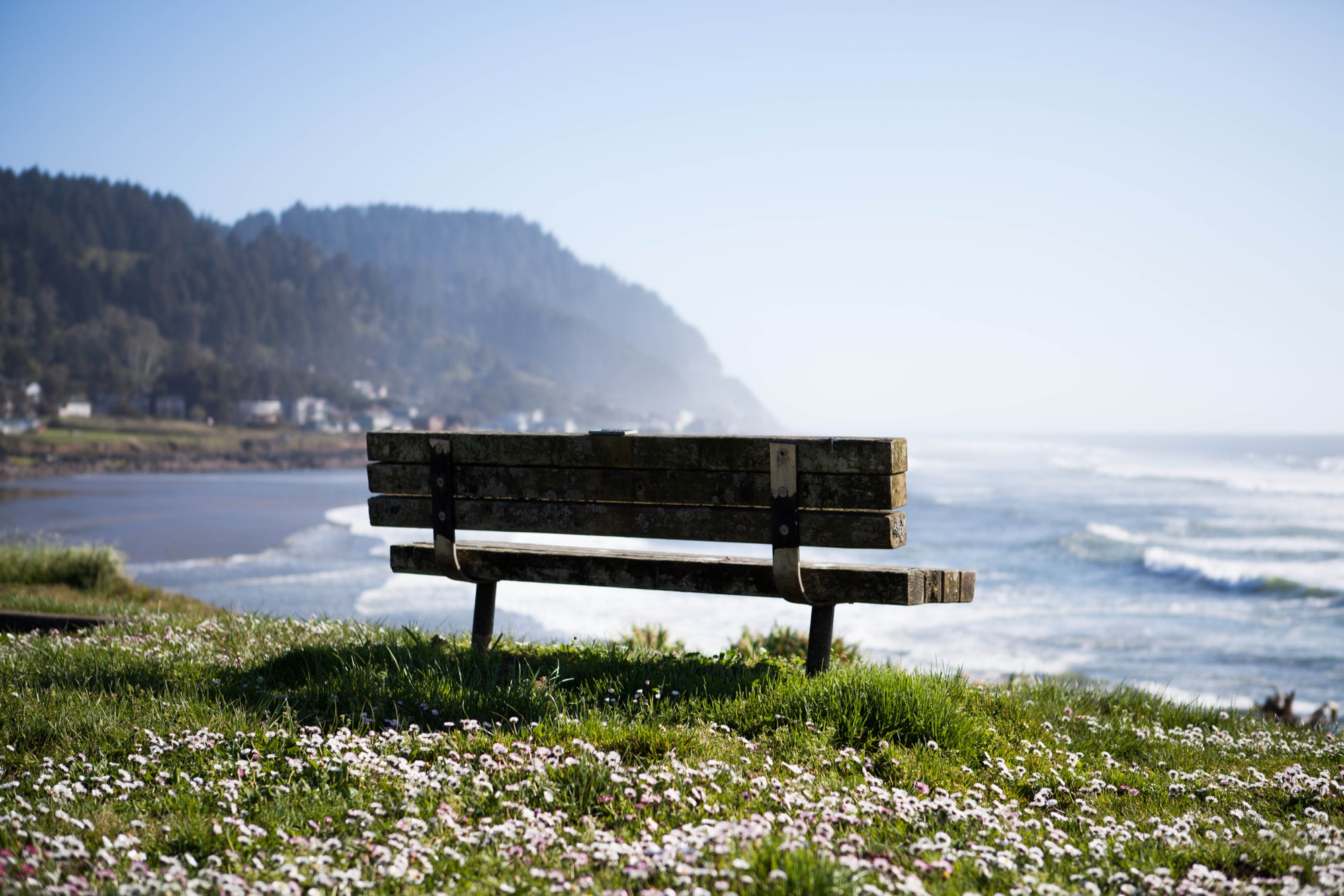A weathered wooden bench on a wildflower bluff above the surf on the Oregon coast