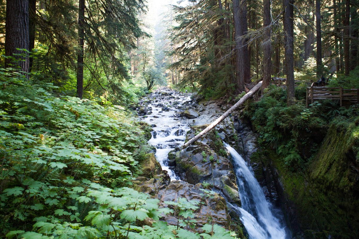 Photograph from Olympic NP, WA