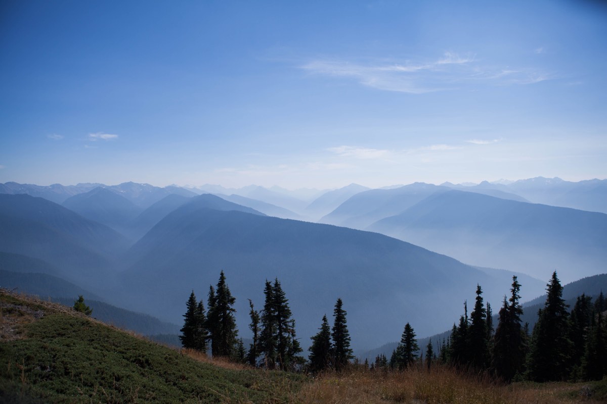 Photograph from Olympic NP, WA